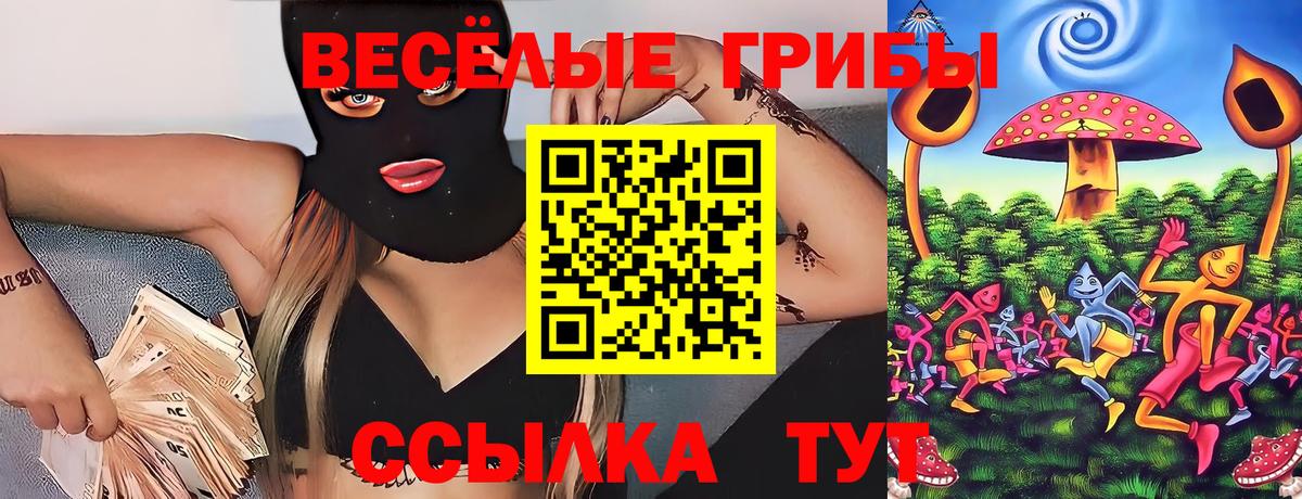 Псилоцибиновые грибы Psilocybe  Вход с VPN  Псилоцибиновые грибы прущие грибы  Бирск 